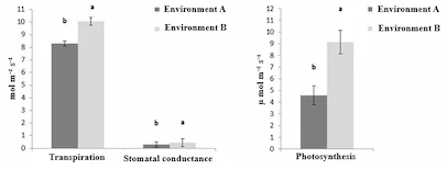 Ecophysiology of Khaya grandifoliola C. DC. Under two Distinct Microclimatic Conditions – Figure 3