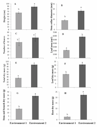 Ecophysiology of Khaya grandifoliola C. DC. Under two Distinct Microclimatic Conditions – Figure 2