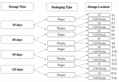 Figure supporting the scientific article