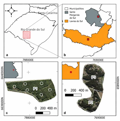 Automated estimation of tree number in Pinus elliottii Engelm. and Eucalyptus sp. plantations using UAV imagery – Figure 1