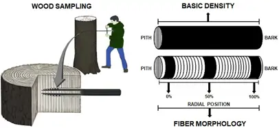 Figure supporting the scientific article